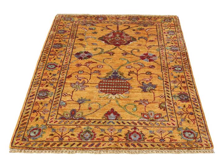 2' 8 x 3' 10 Hand Knotted Ariana Ziegler Rug