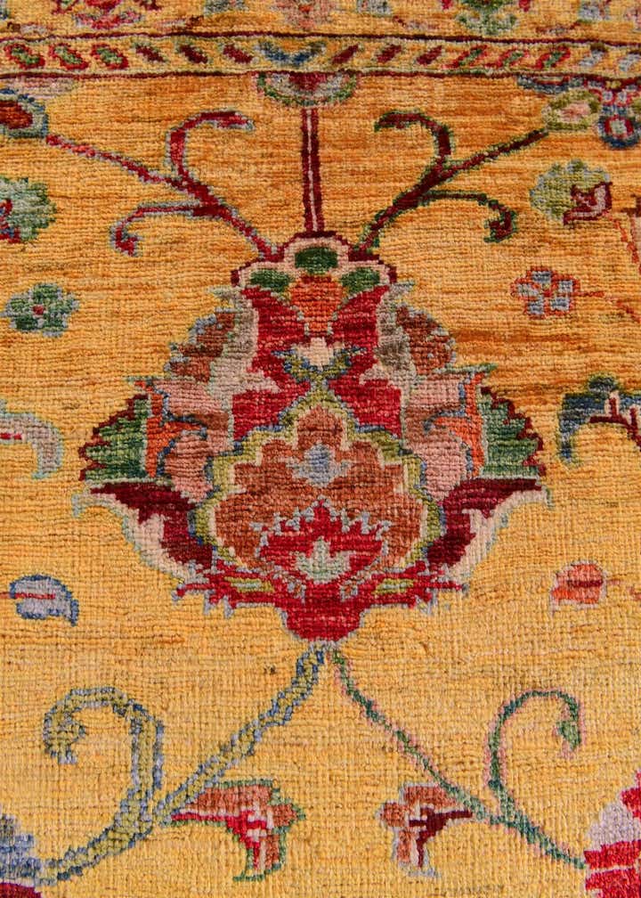 2' 8 x 3' 10 Hand Knotted Ariana Ziegler Rug