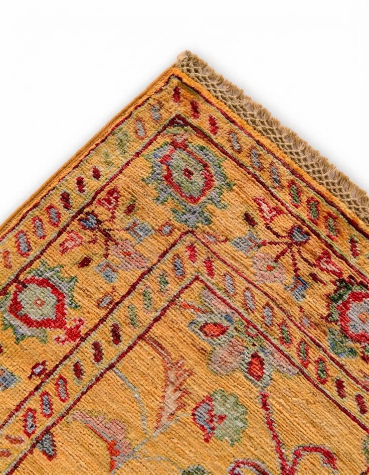 Detail image of 2' 9 x 4' 2 Hand Knotted Ariana Ziegler Rug