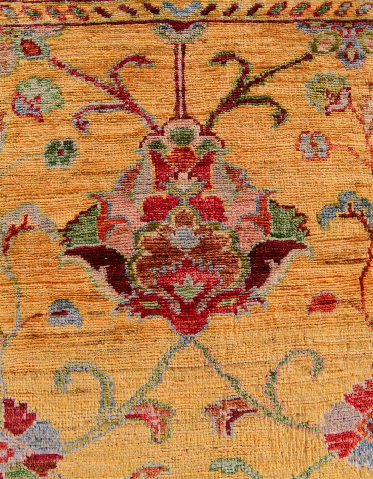 Detail image of 2' 9 x 4' 2 Hand Knotted Ariana Ziegler Rug