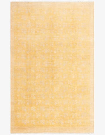 3' 11 x 5' 11 Boutique Rug