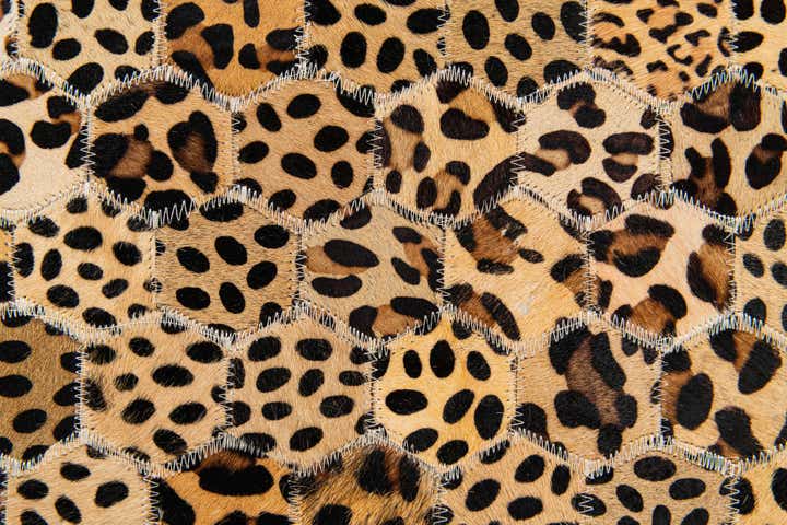 5' x 7' 11 Cowhide Stocks Rug