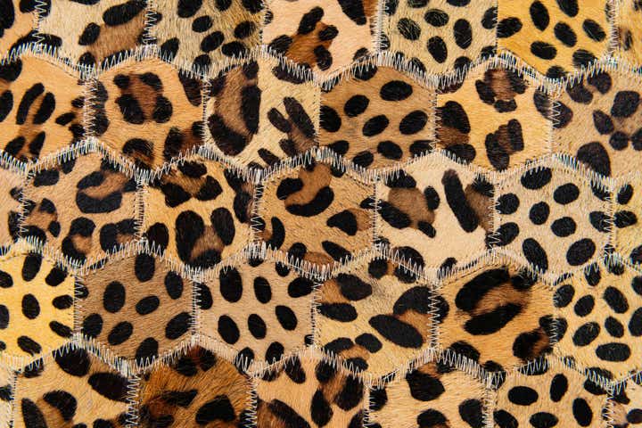 5' x 7' 11 Cowhide Stocks Rug