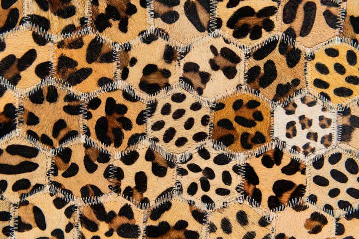 5' x 7' 11 Cowhide Stocks Rug