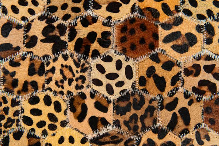 5' 1 x 8' Cowhide Stocks Rug
