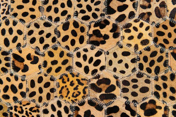 5' x 7' 10 Cowhide Stocks Rug