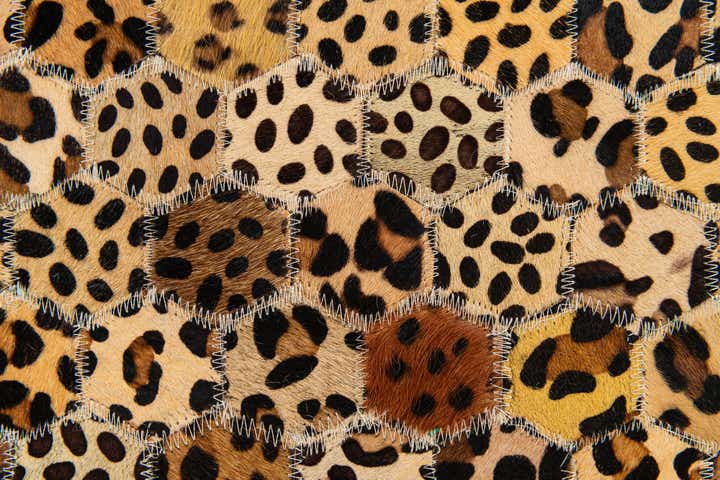 4' 11 x 8' Cowhide Stocks Rug