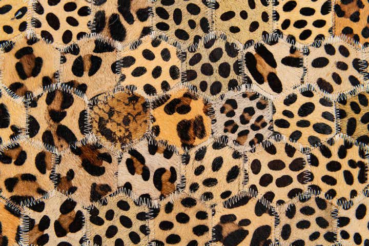 7' 11 x 9' 11 Cowhide Stocks Rug