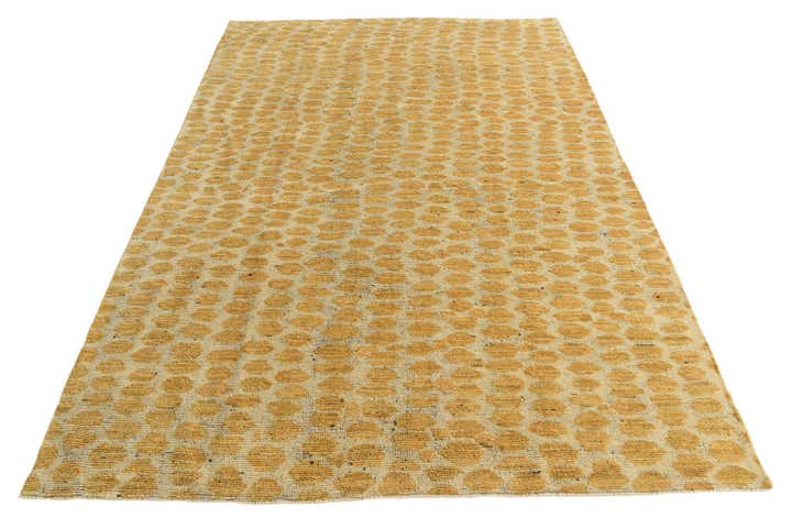6' x 9' Hand Knotted Darya Wool Rug