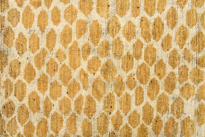 5' 8 x 9' 1 Hand Knotted Darya Wool Rug