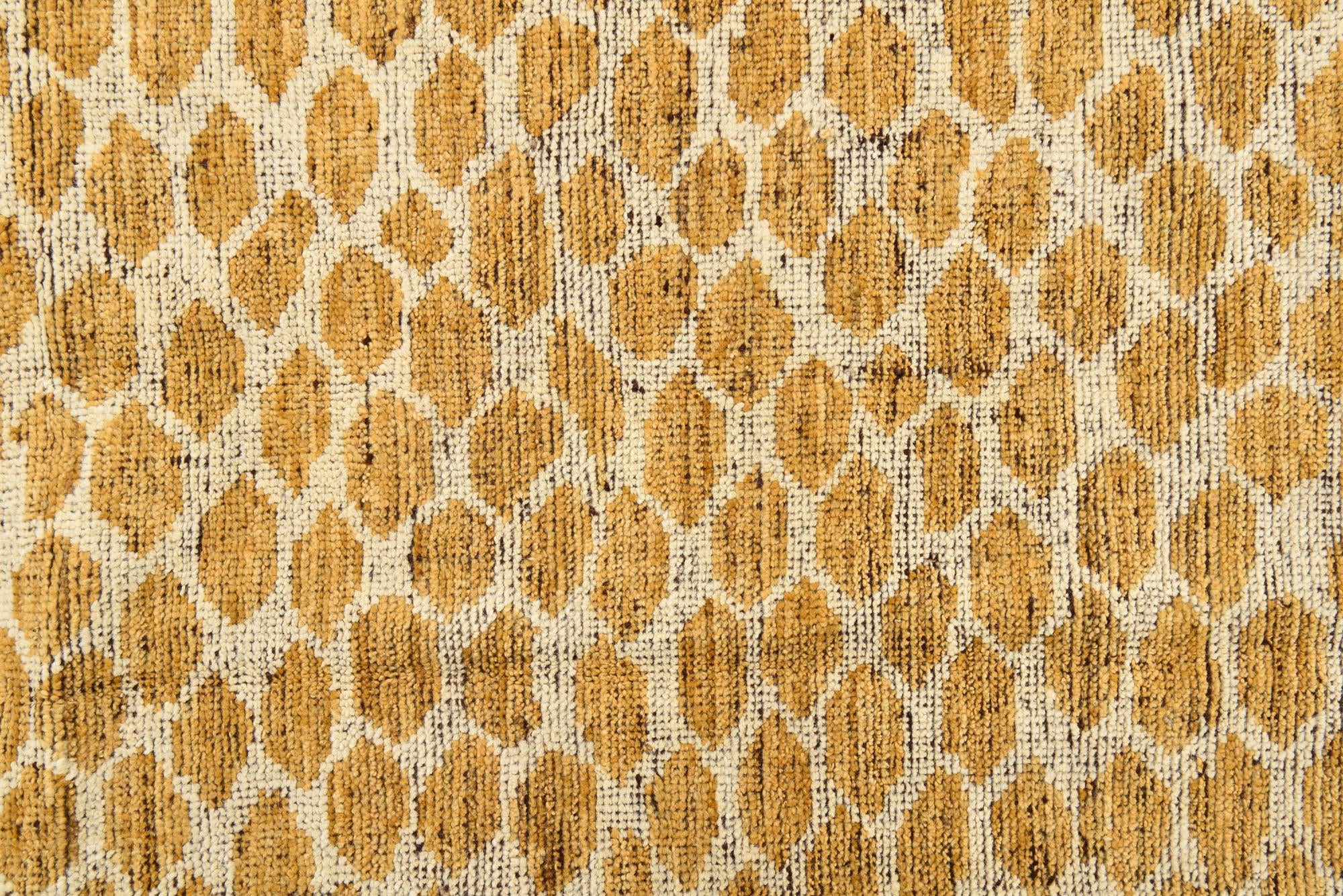 6' 1 x 9' Hand Knotted Darya Wool Rug
