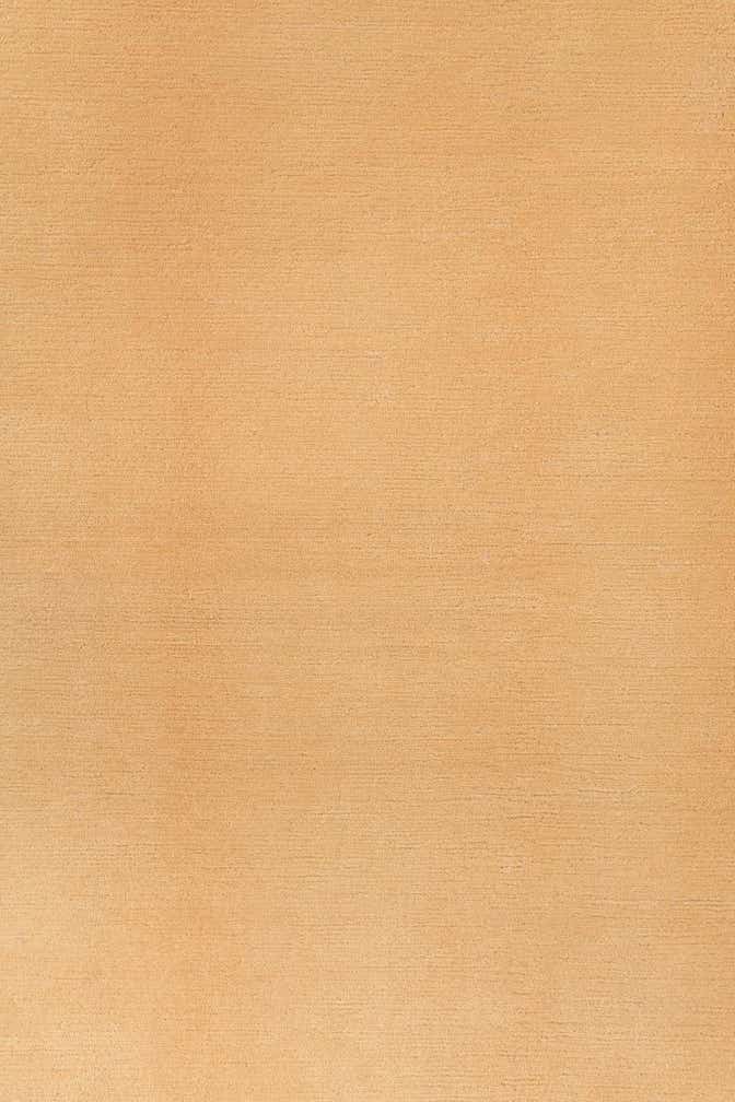 5' 7 x 7' 8 Darya Rug