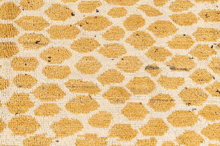 9' 2 x 12' 3 Hand Knotted Darya Wool Rug