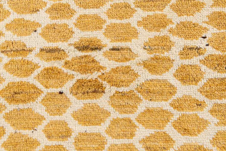 9' 2 x 12' 3 Hand Knotted Darya Wool Rug