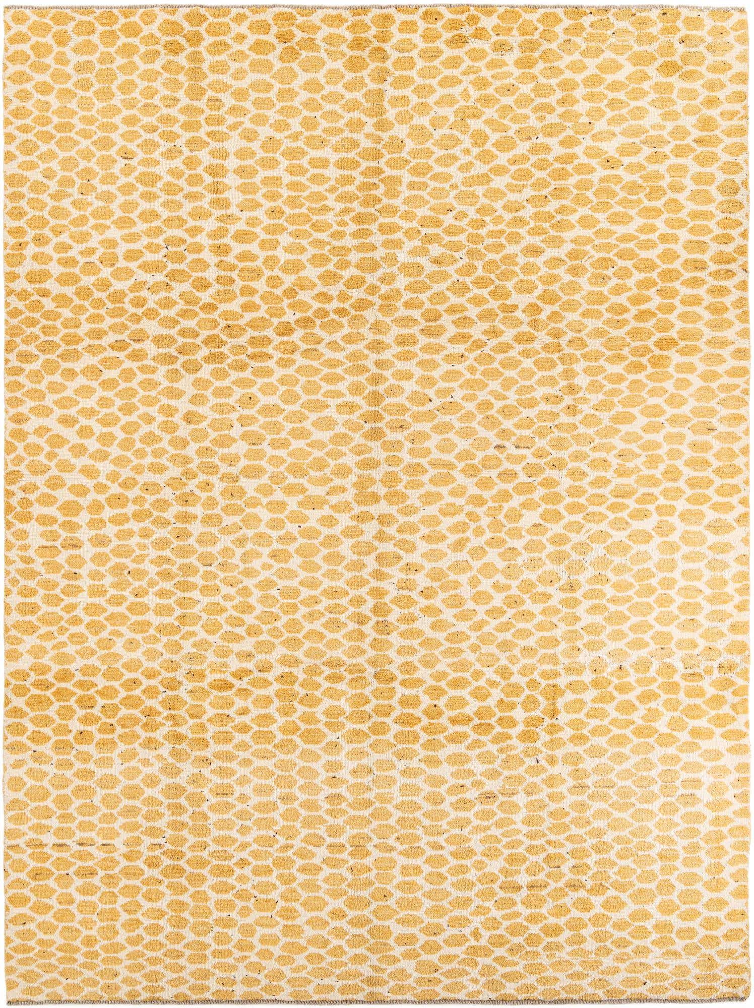 9' 2 x 12' 3 Hand Knotted Darya Wool Rug