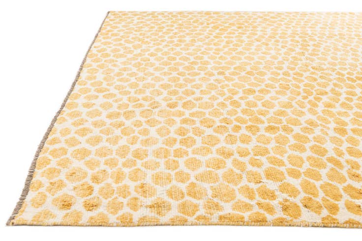 Detail image of 9' x 11' 10 Hand Knotted Darya Wool Rug
