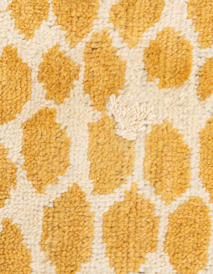Detail image of 9' x 11' 10  Hand Knotted Darya Wool Rug