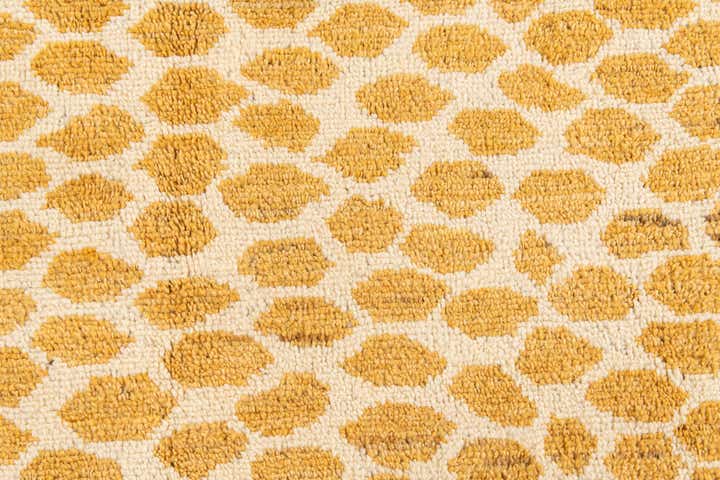 9' 2 x 12' 10 Hand Knotted Darya Wool Rug