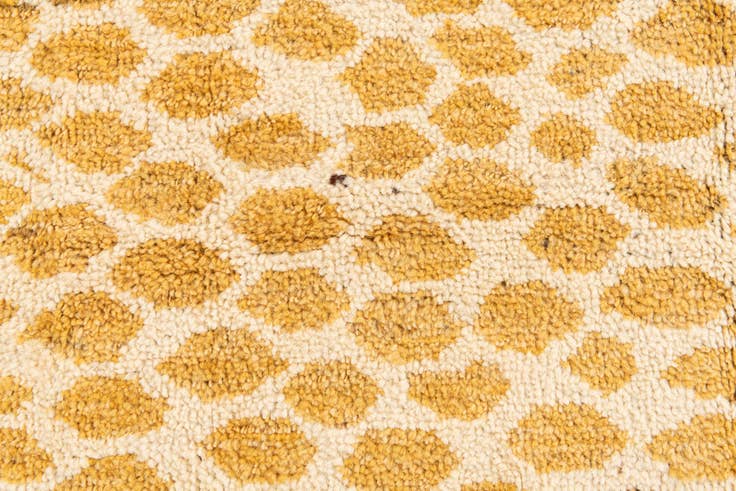 Detail image of 8' x 10' Hand Knotted Darya Wool Rug