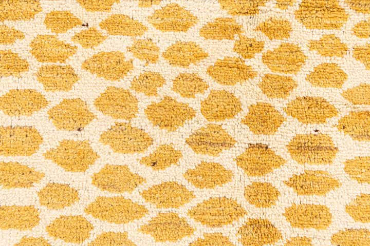 8' x 10' Hand Knotted Darya Wool Rug