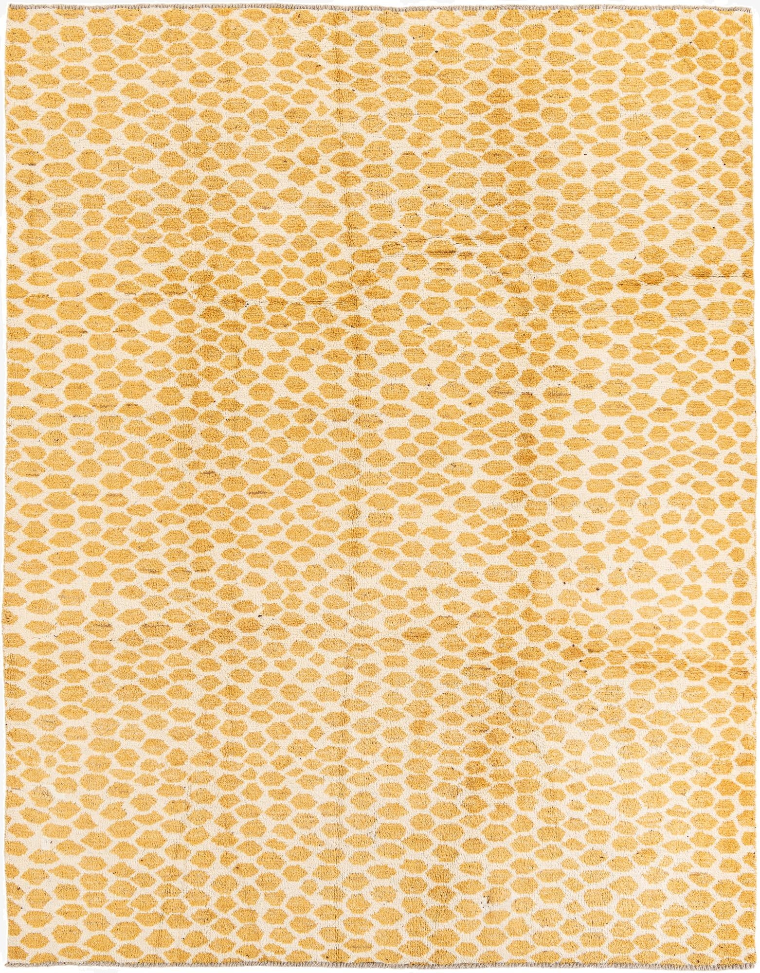 8' x 10'  Hand Knotted Darya Wool Rug