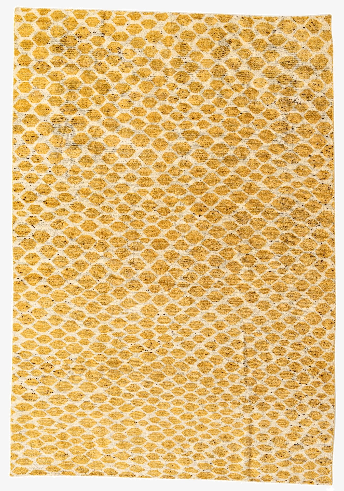 6' x 8' 8  Hand Knotted Darya Wool Rug