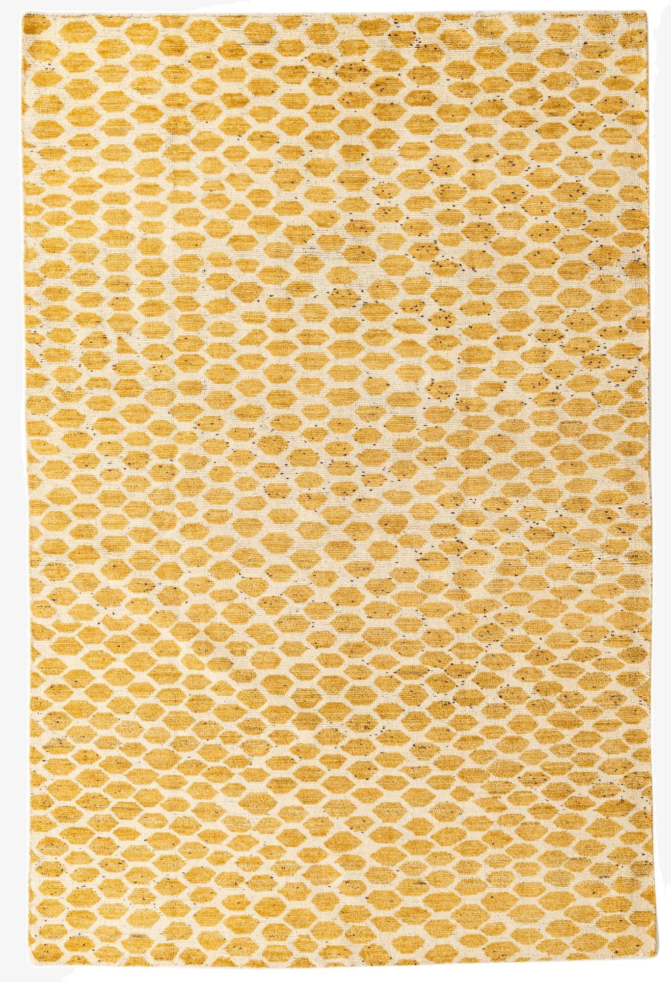 6' x 9' 2  Hand Knotted Darya Wool Rug