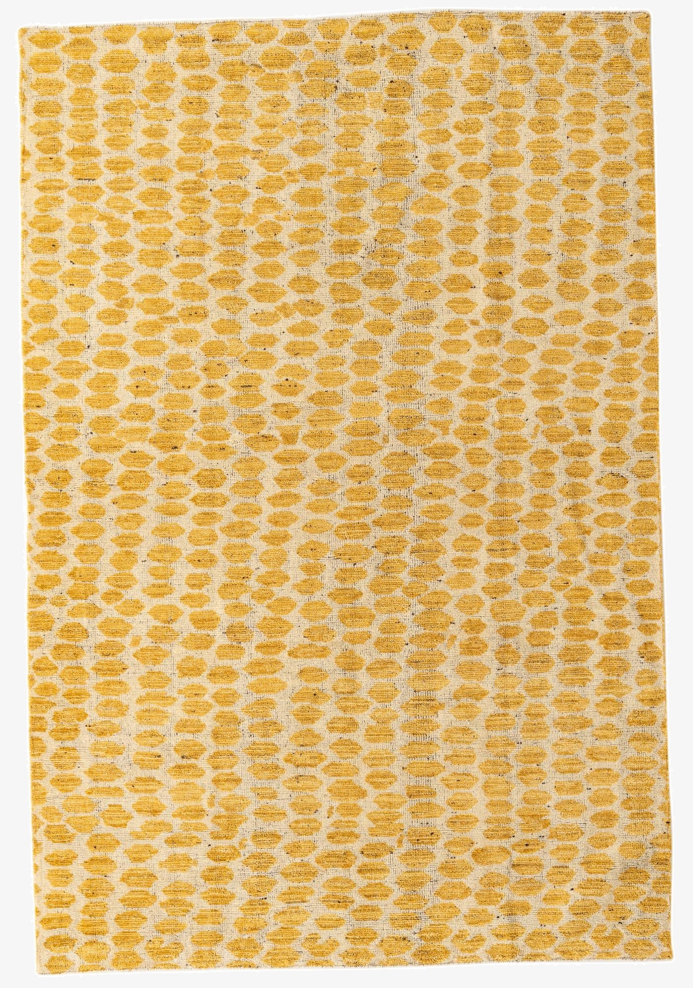 6' x 9'  Hand Knotted Darya Wool Rug