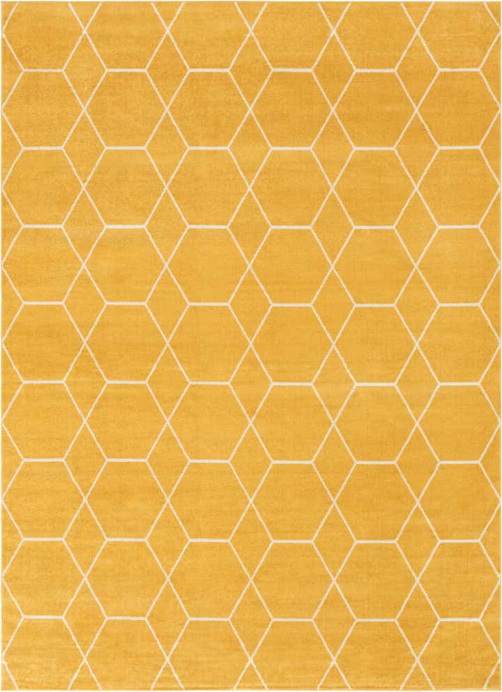 7' 10 x 11' Lattice Frieze Rug