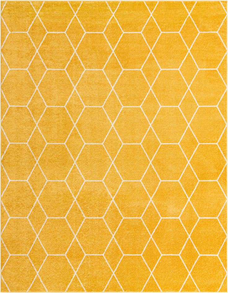 Detail image of 10' x 13' Lattice Frieze Rug