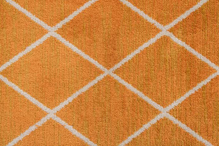 4' x 5' 8 Lattice Trellis Rug