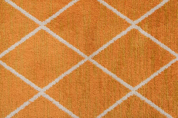 Detail image of 4' x 5' 8 Lattice Trellis Rug