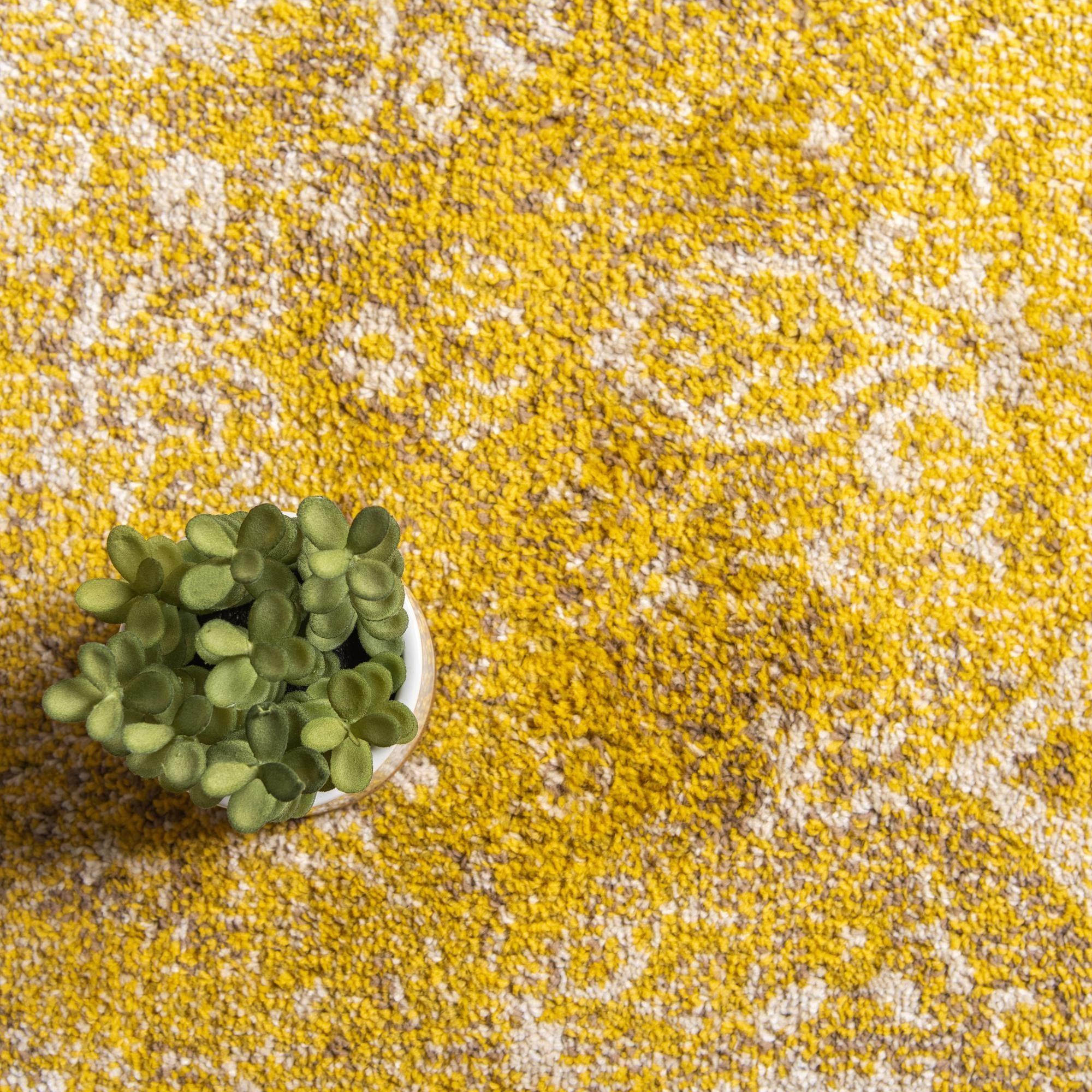 5' 3 x 8' Madeline Rug