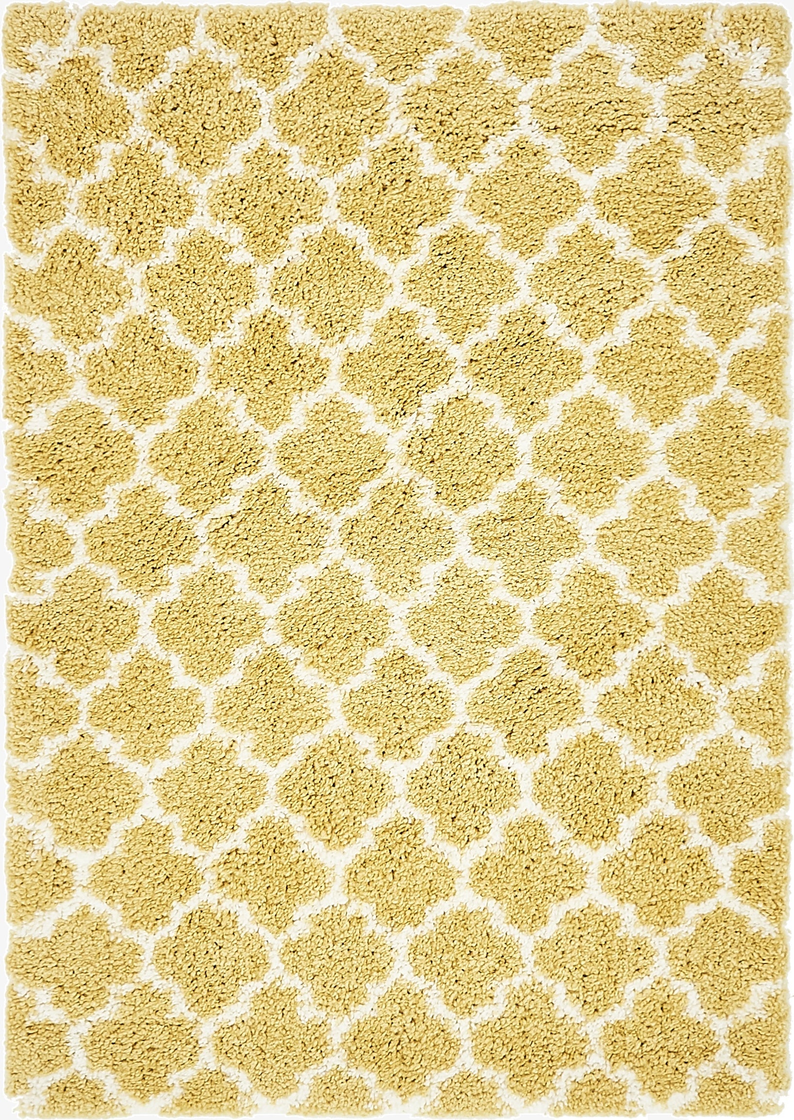 4' x 6' Marrakesh Shag Rug