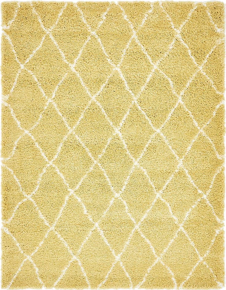 Detail image of 5' x 8' Moroccan Shag Rug