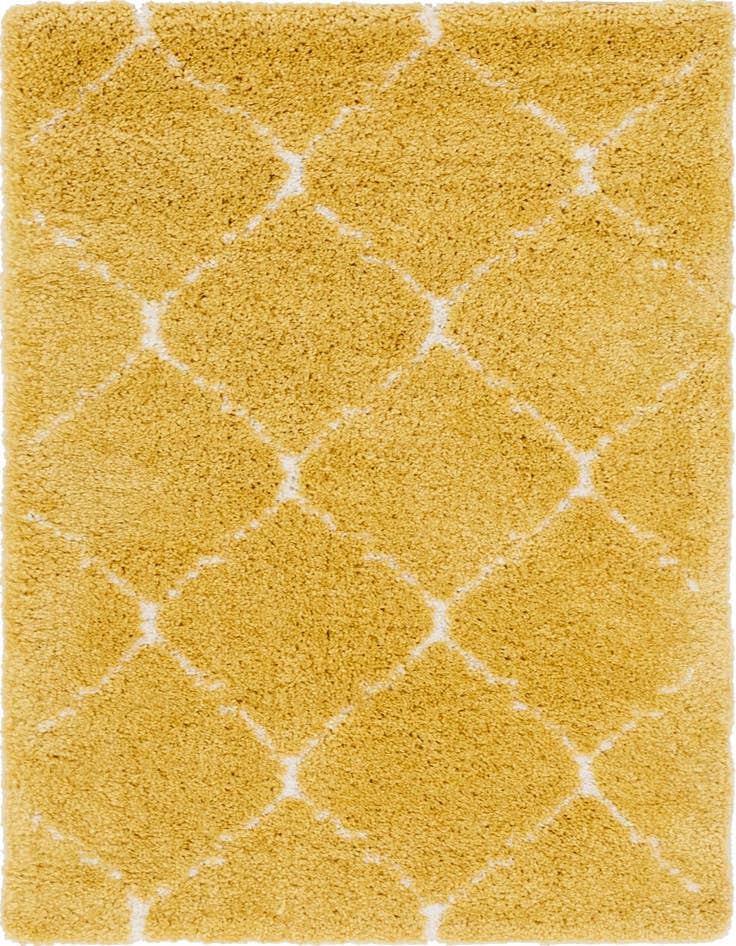 Detail image of 4' x 6' Moroccan Shag Rug