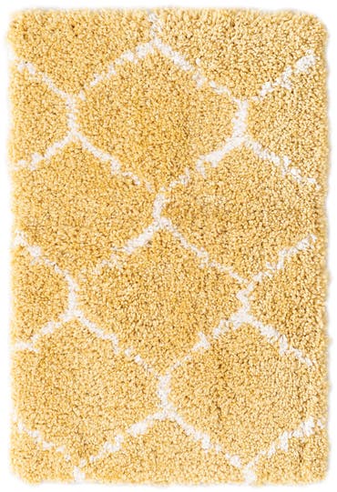  2' x 3' Moroccan Shag Rug