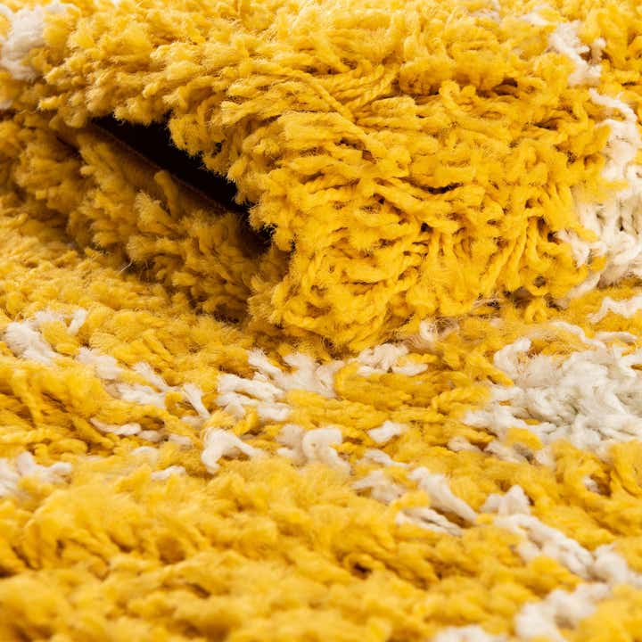 4' x 6' Moroccan Trellis Shag Rug