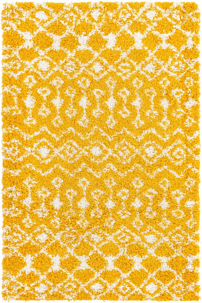 4' x 6' Moroccan Trellis Shag Rug