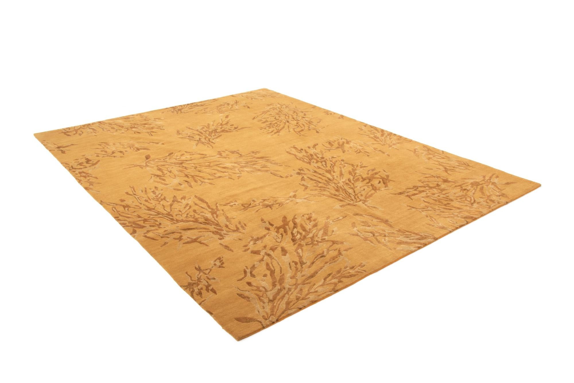 8' 11 x 11' 7 Odegard Rug