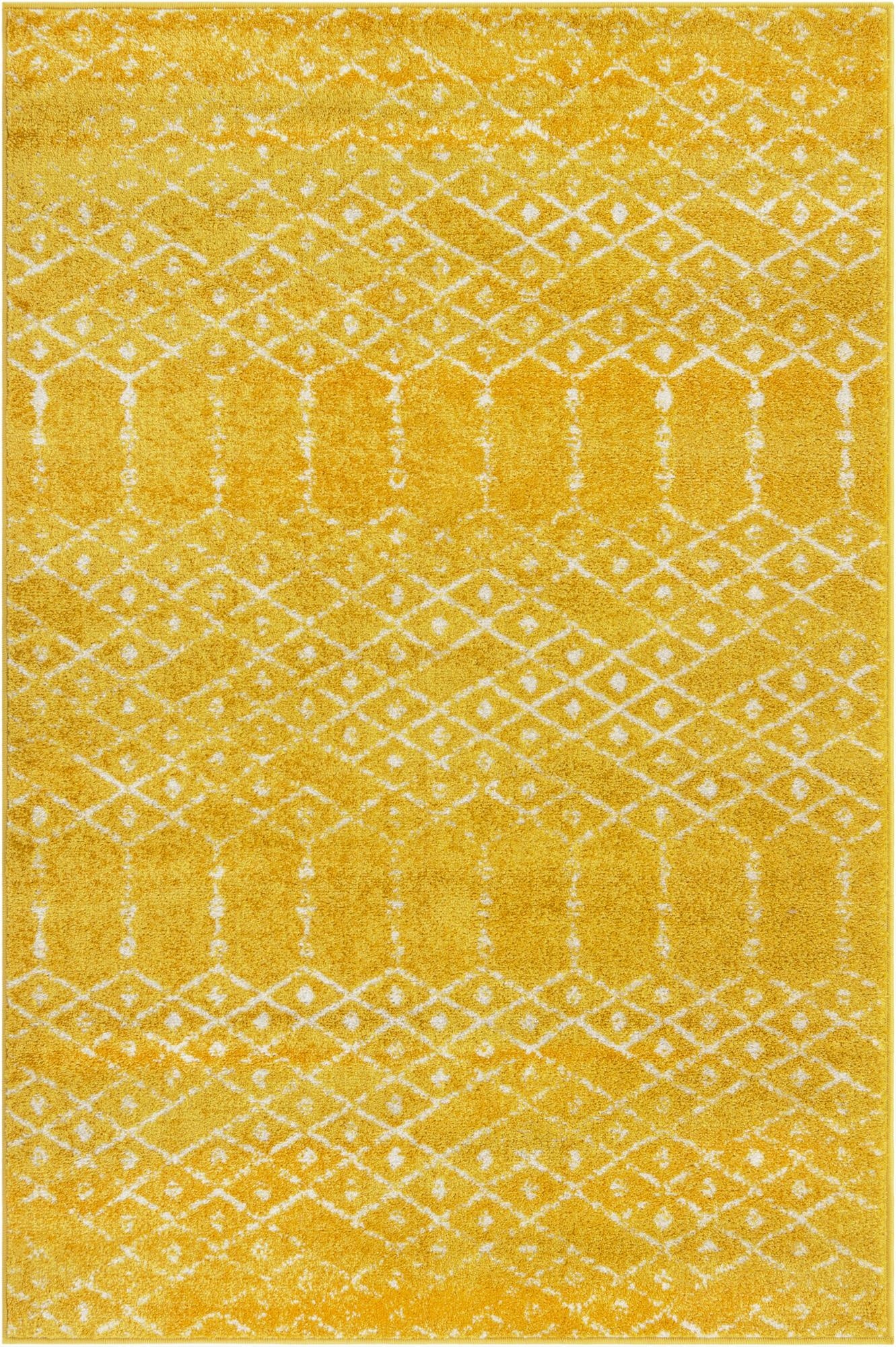 Primary image 4' x 6' Paxon Trellis Rug