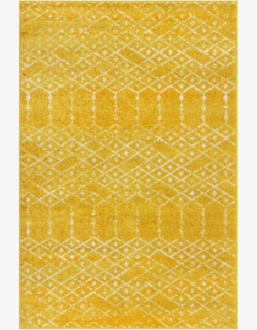 4' x 6' Paxon Trellis Rug