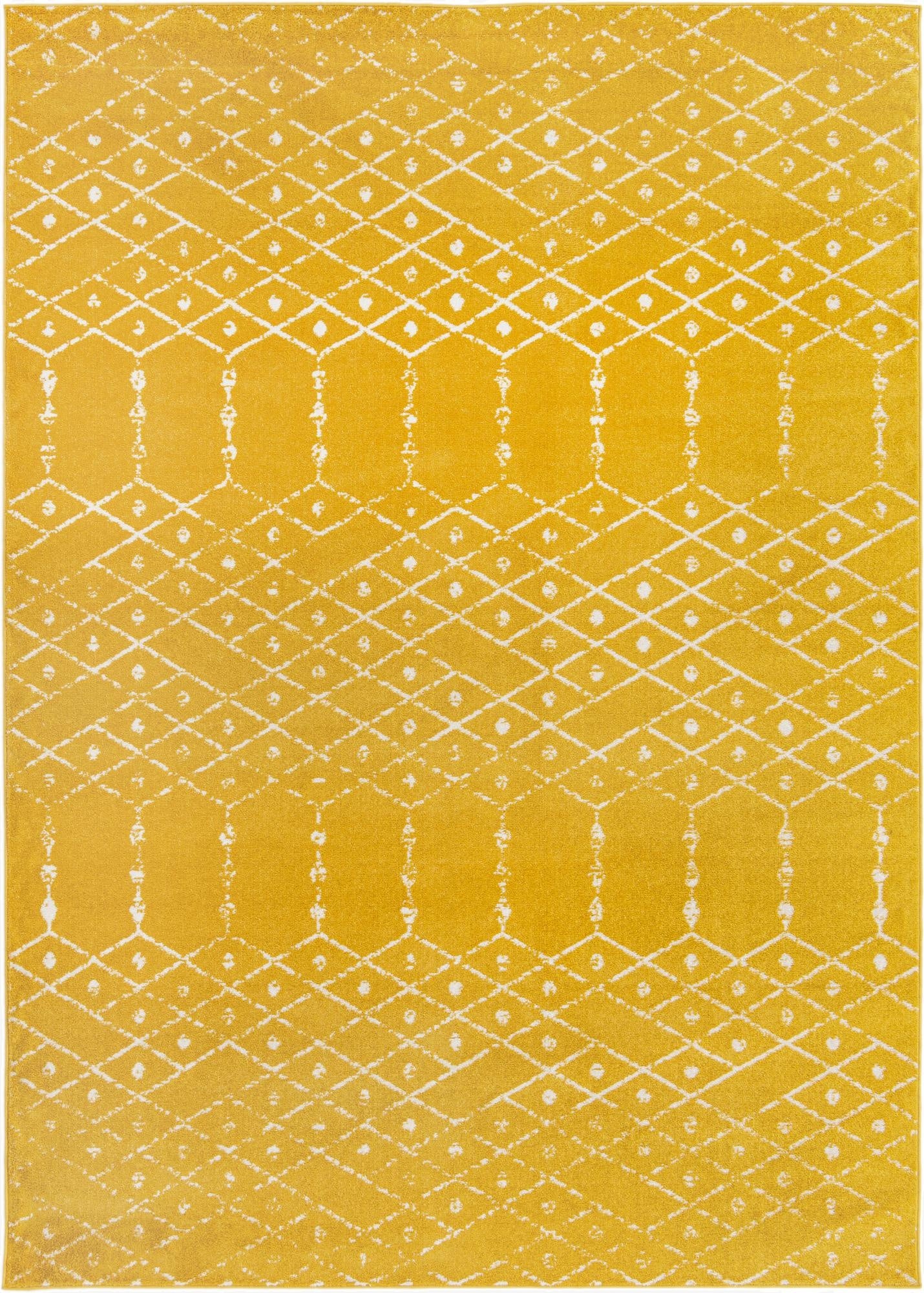 7' x 10' Paxon Trellis Rug