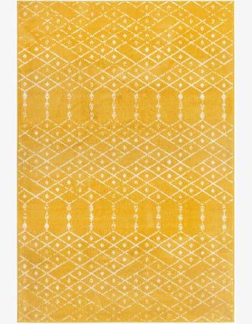 6' x 9' Paxon Trellis Rug