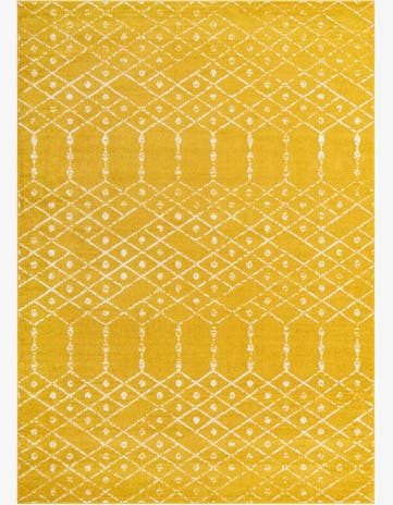 10' x 14' Paxon Trellis Rug