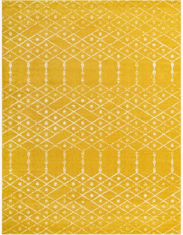 10' x 13' Paxon Trellis Rug
