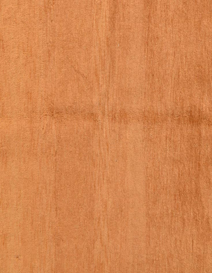 Detail image of 4' 3 x 5' 9  Hand Knotted Peshawar Ziegler Rug