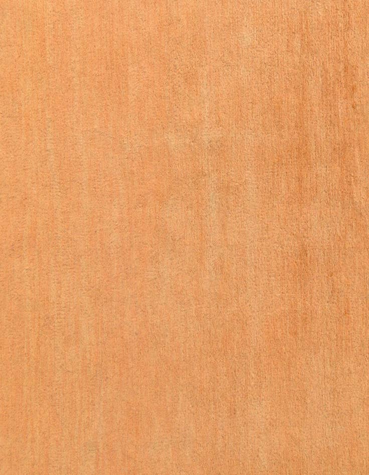 Detail image of 5' 8 x 8'  Hand Knotted Peshawar Ziegler Rug