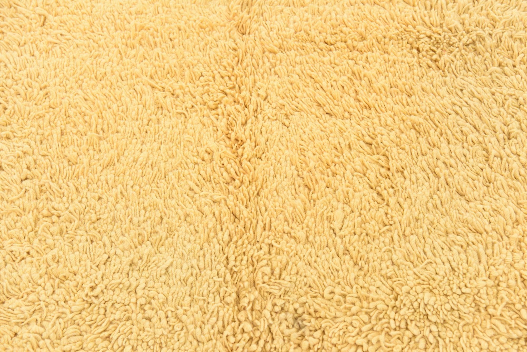 5' x 6' 3 Solid Shag Rug