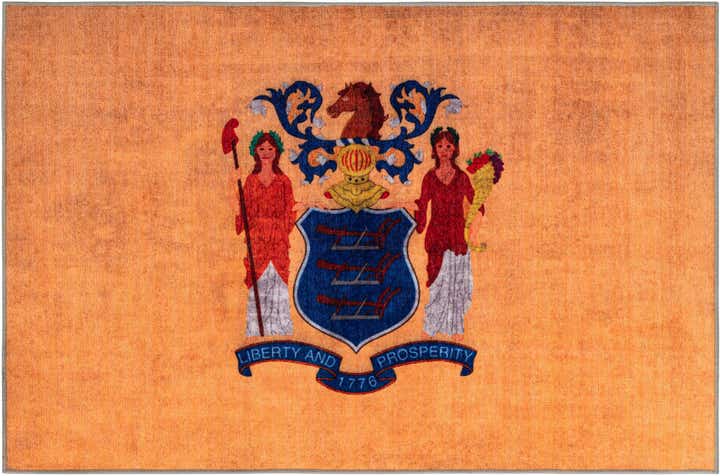 7' x 10' New Jersey The Flag Collection Rug